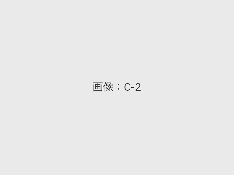 感謝SALE開催中!